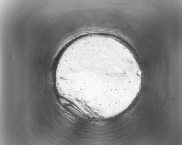 X0000059801501200511181501