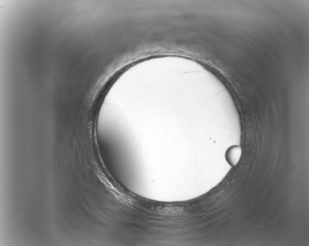 X0000059801503200511181501