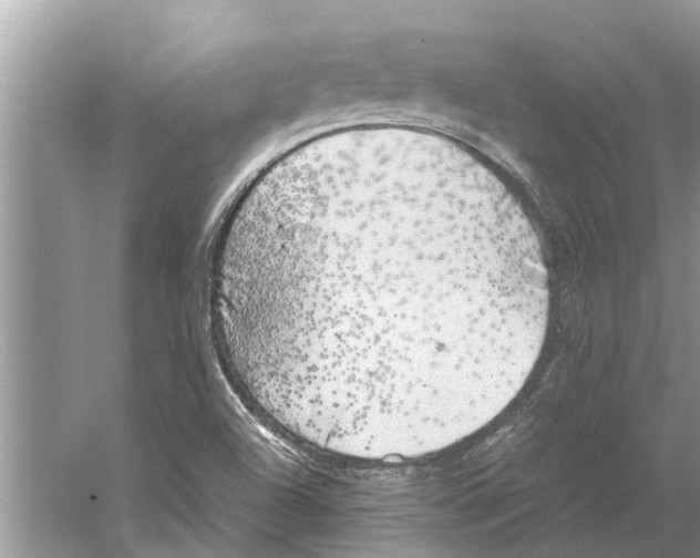 X0000059801504200511181501