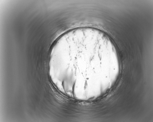 X0000059801505200511181501