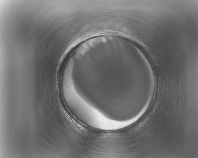 X0000059801506200511181501