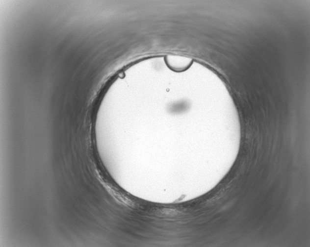 X0000059801507200511181501