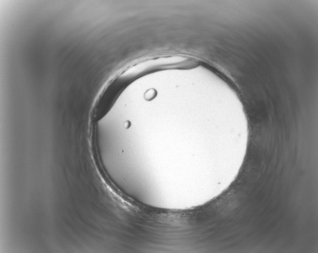 X0000059801508200511181501