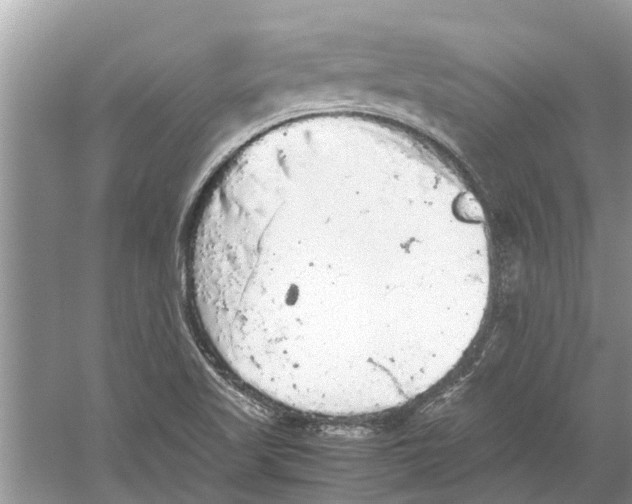 X0000059801509200511181501