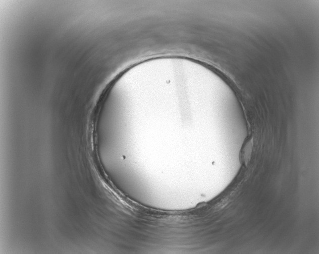 X0000059801510200511181501