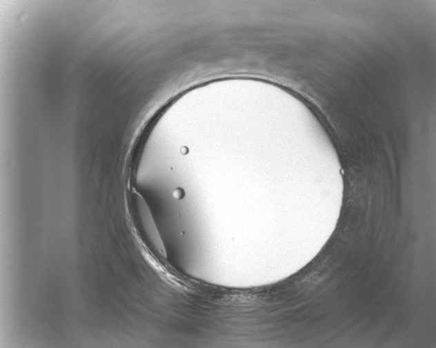 X0000059801511200511181501