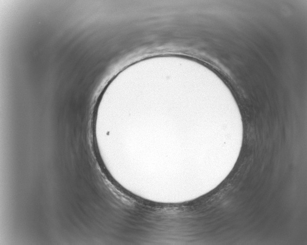 X0000059801512200511181501