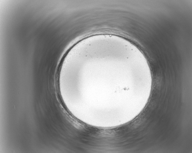 X0000059801514200511181501