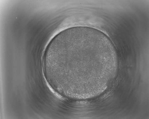 X0000059801515200511181501