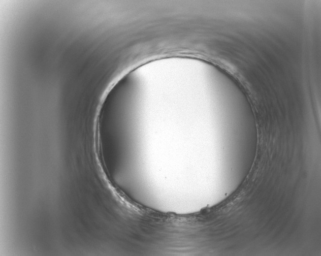 X0000059801520200511181501