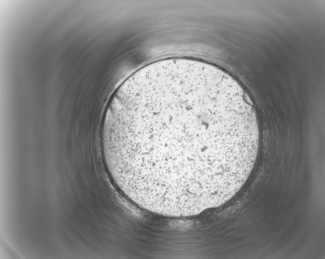 X0000059801521200511181501