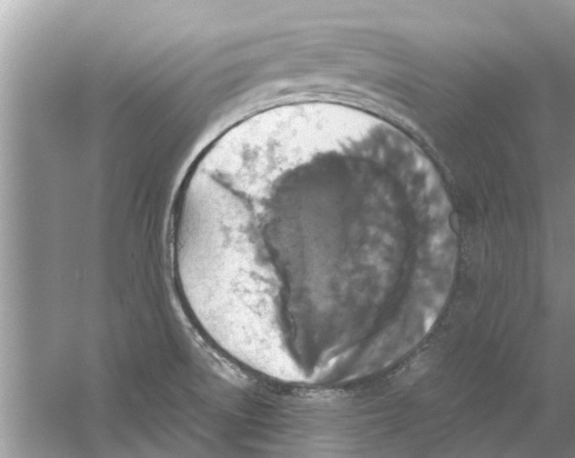 X0000059801522200511181501