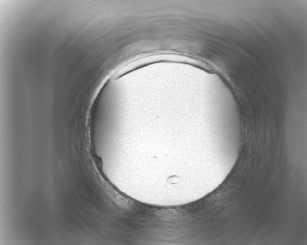 X0000059801524200511181501