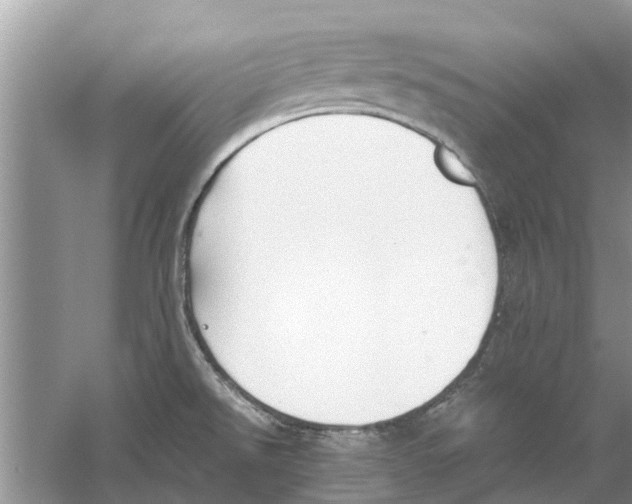 X0000059801526200511181501