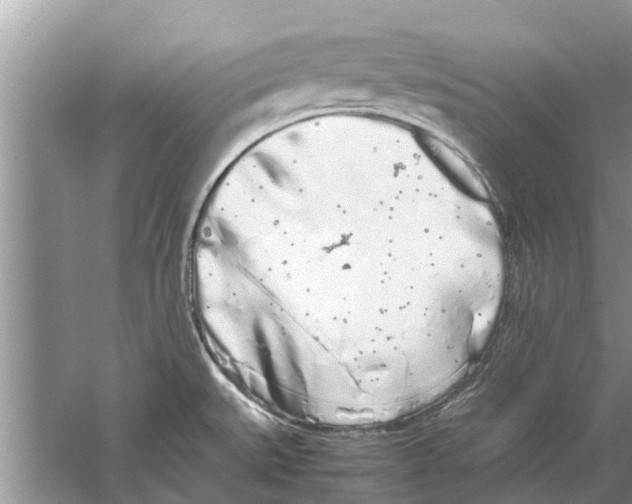 X0000059801527200511181501