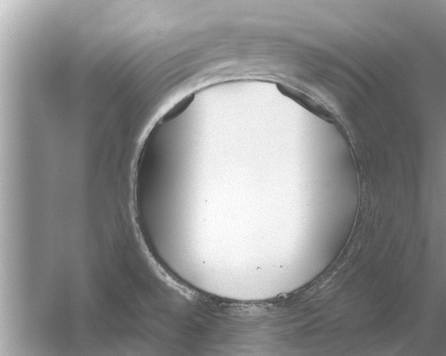 X0000059801528200511181501