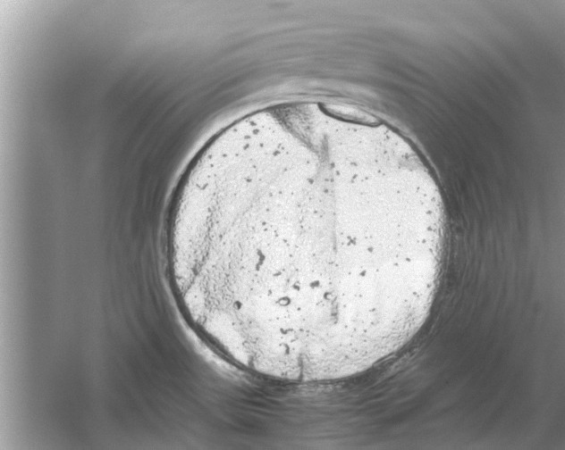 X0000059801531200511181501