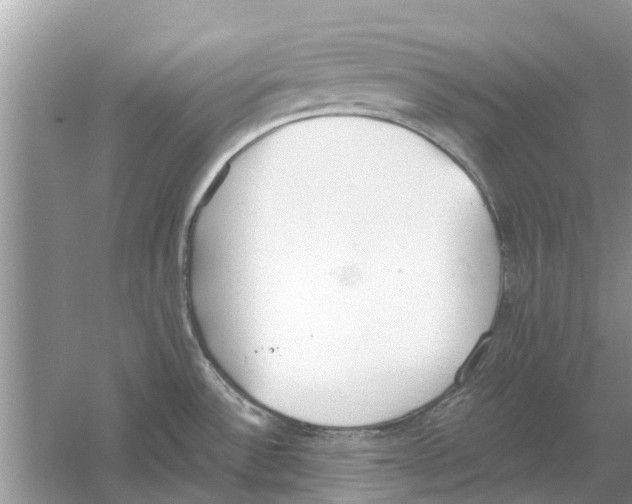 X0000059801532200511181501