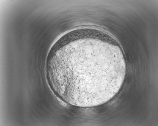 X0000059801533200511181501