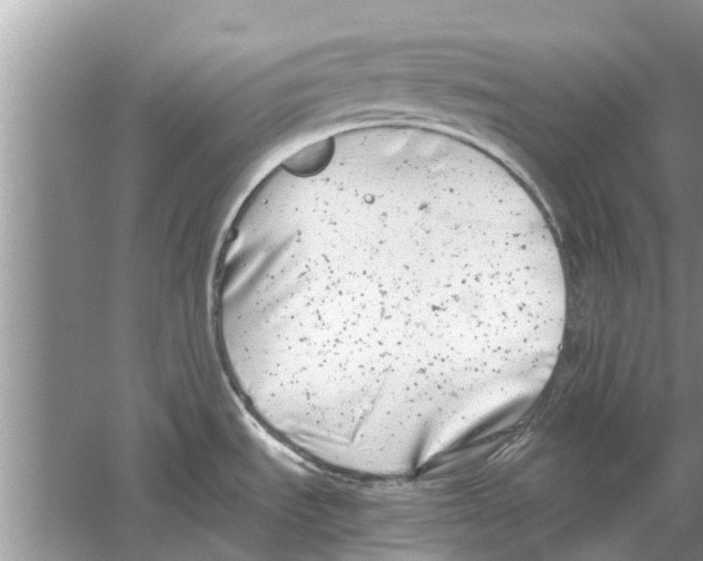 X0000059801535200511181501