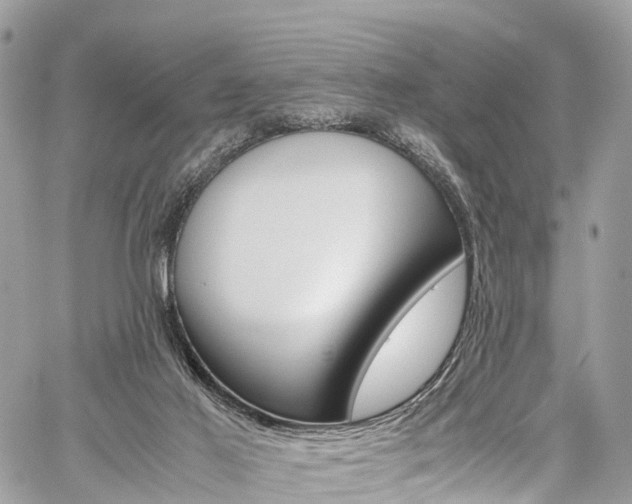 X0000059810021200510210933