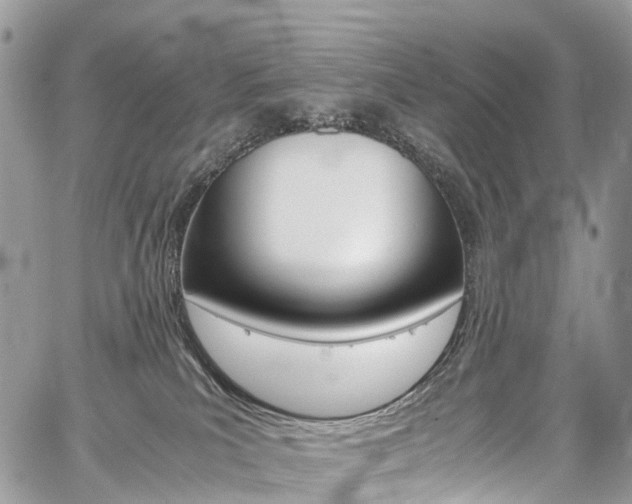 X0000059810039200510210933