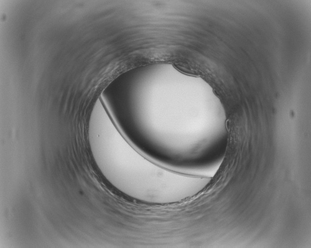 X0000059810044200510210933
