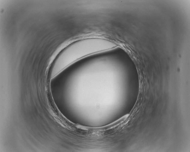 X0000059810056200510210932