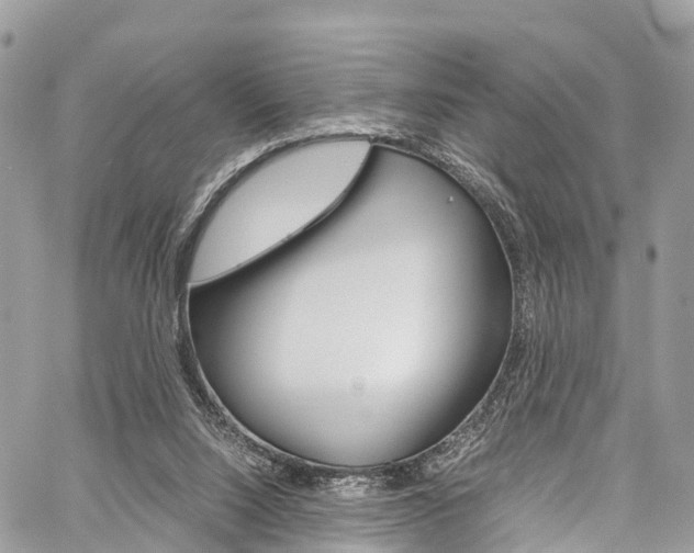 X0000059810064200510210932