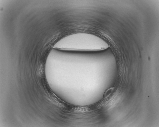 X0000059810077200510210932