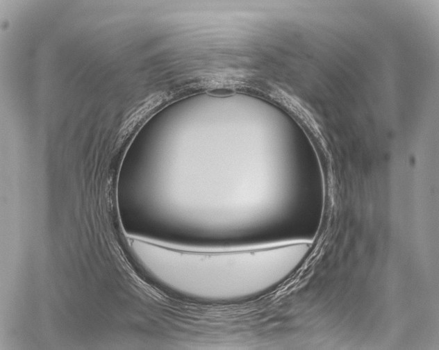 X0000059810105200510210932