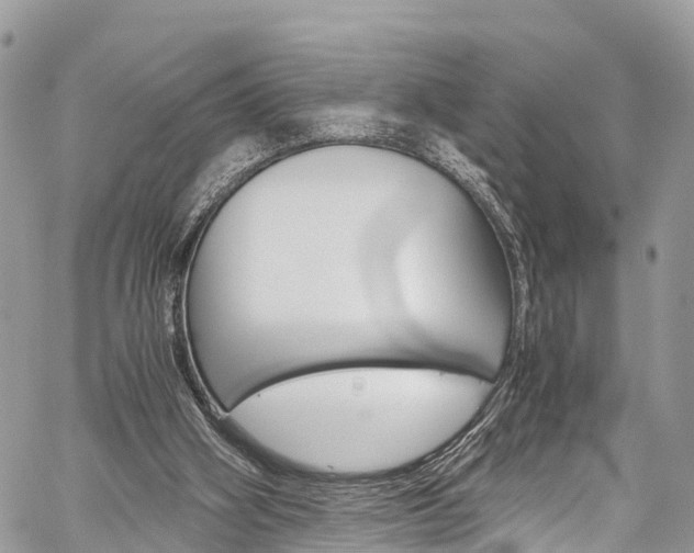 X0000059810106200510210932