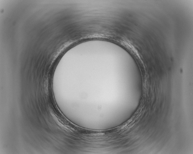 X0000059810108200510210932