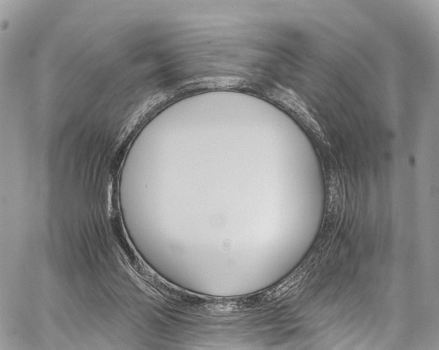 X0000059810110200510210932