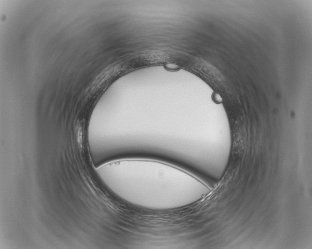 X0000059810124200510210931