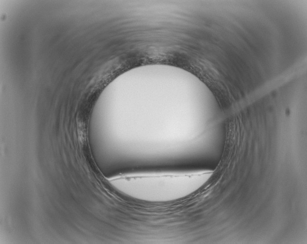 X0000059810135200510210931
