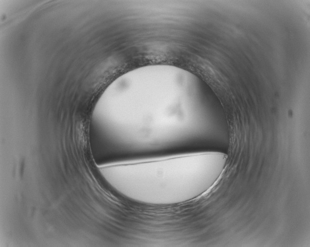 X0000059810136200510210931