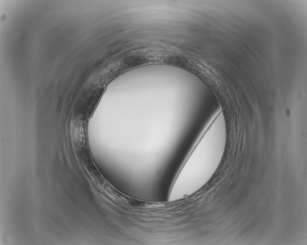X0000059810137200510210931