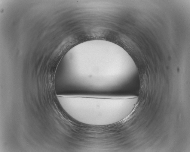 X0000059810140200510210931