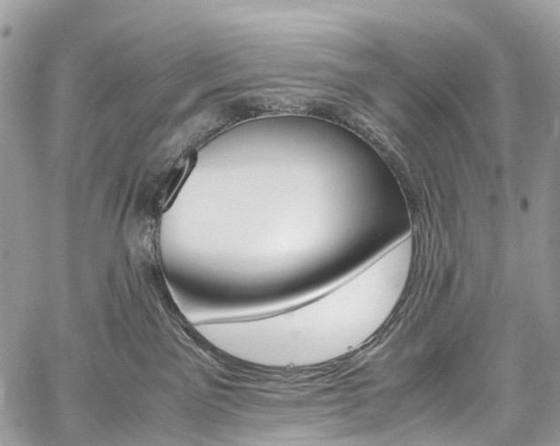 X0000059810141200510210931