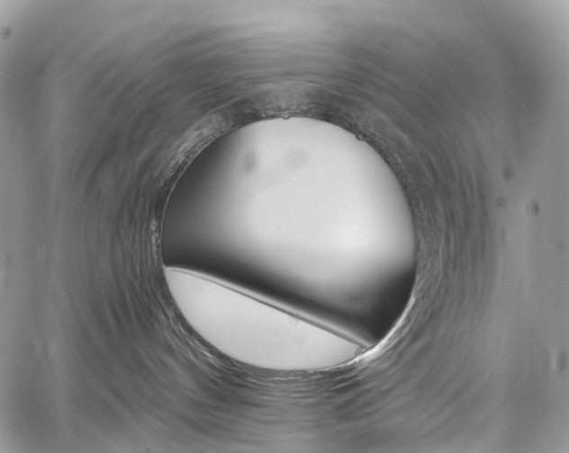 X0000059810144200510210931