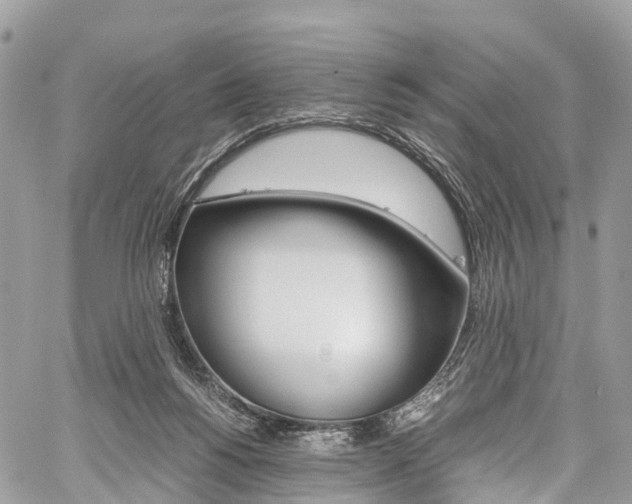 X0000059810168200510210931