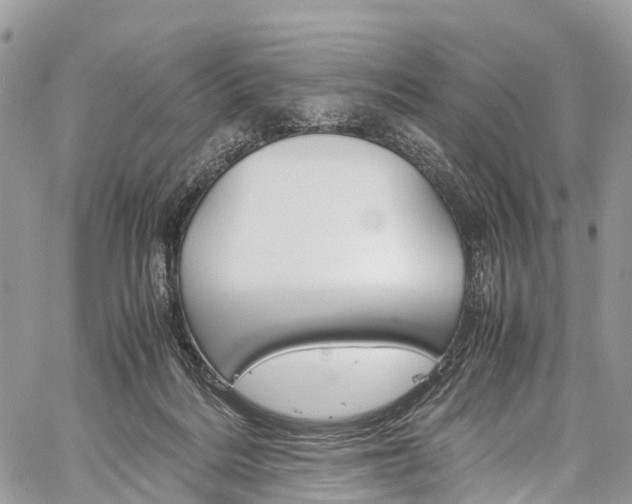 X0000059810220200510210930