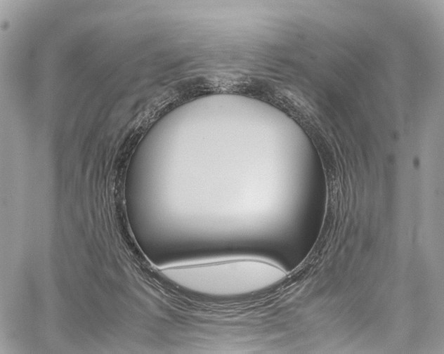 X0000059810221200510210930