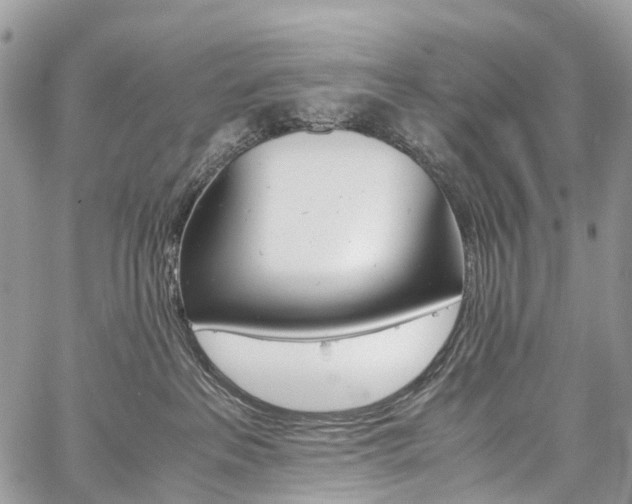 X0000059810237200510210930