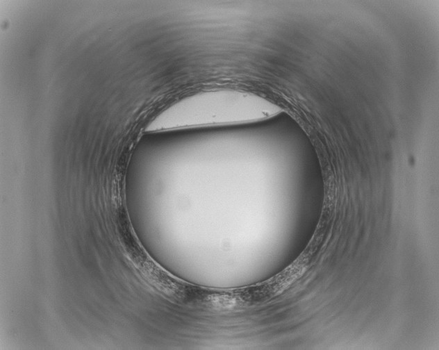 X0000059810272200510210929