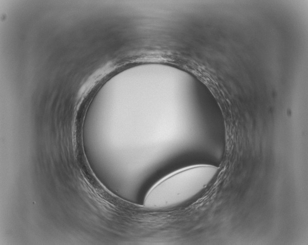 X0000059810296200510210929