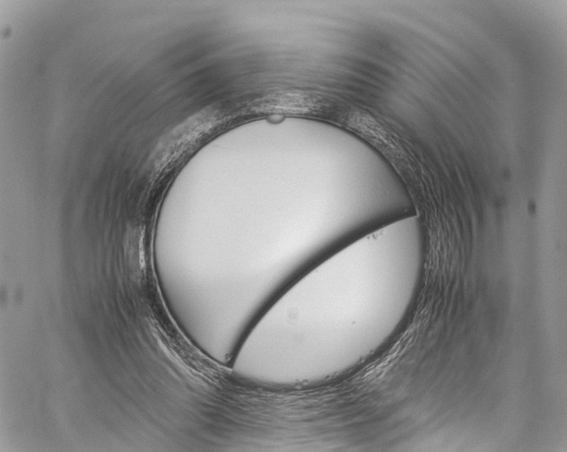 X0000059810302200510210929