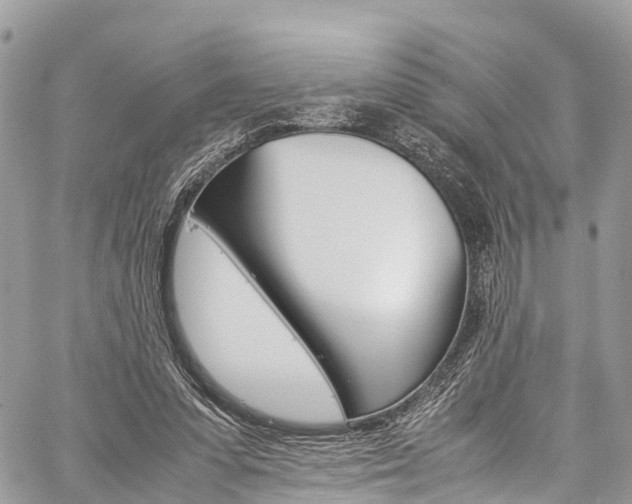 X0000059810303200510210929