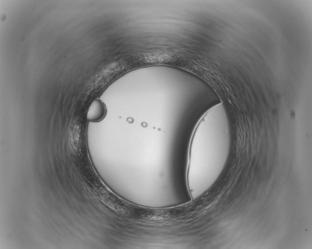 X0000059810308200510210928
